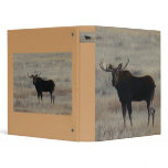 M0004 Bull Moose binder