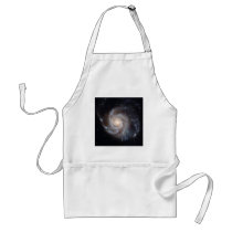 M101 The Pinwheel Galaxy (NGC 4547) Aprons