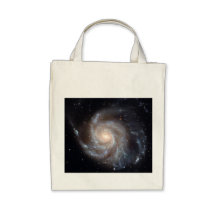 M101 The Pinwheel Galaxy (NGC 4547) Bags