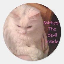 M4, Mitties=The devil inside Stickers