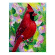 M. Cardinal Postcard Cartes Postales