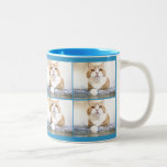 M. Cat tasses