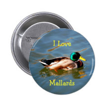 M est pour Mallard - bouton Badges Avec Agrafe
