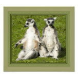 M. et Mme Lemur Photographes