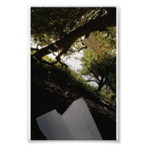 M.I.A. PHOTO PRINT