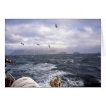 M/V Tiglax, storm at sea 1990 Cards