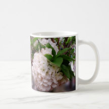 Ma tasse de floraison
