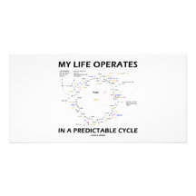 Ma vie fonctionne dans un cycle prévisible (Krebs) Photocarte