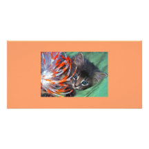 Mable Kitty Photo Card
