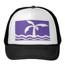 Macae, Brazil flag Hat