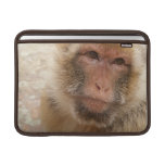  Macaque 13" MacBook Sleeve
