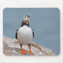 Macareux d'île de Skomer Tapis De Souris