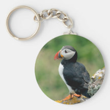 Macareux solo porte-clefs
