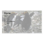 Macaroni Penguin - Pair At Nest Business Card Template