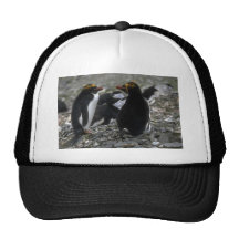 Macaroni Penguin - Pair At Nest Trucker Hats