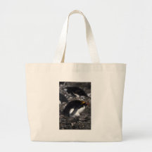 Macaroni Penguin Sitting On Egg Canvas Bag