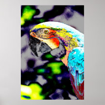 MACAW 2 POSTERS