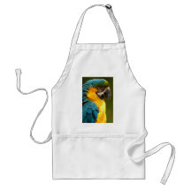 macaw aprons