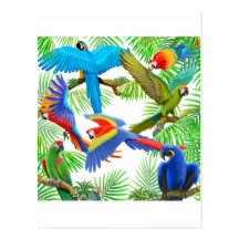 Macaw Jungle Postcard