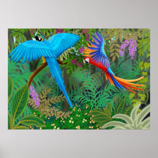 Macaw Jungle Poster
