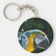 Macaw Key Chain