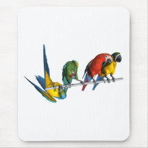 Macaw Parrot Mousepads