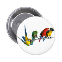 Macaw Parrot buttons