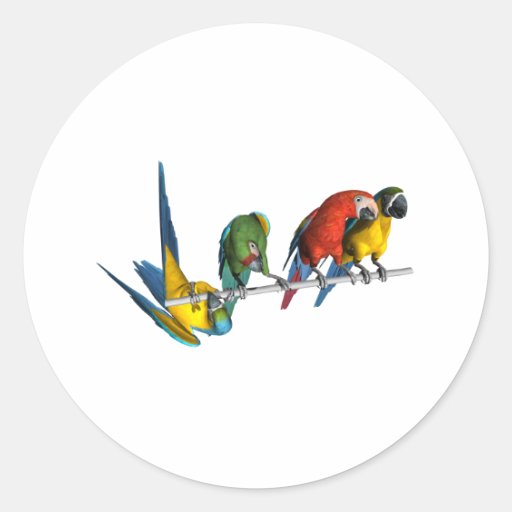 Macaw Parrot Round Stickers