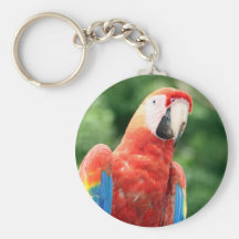 macaw scarlet face keychains