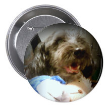 Maccabee Button toys