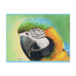 MacCheeky Postcard