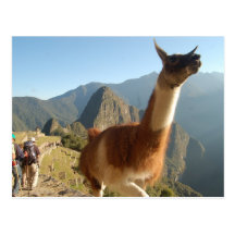 Macchu Picchu Post Card