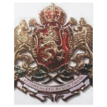 MACEDONIAN LION EMBLEM FLYER DESIGN