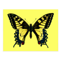 Machaon de Papilio Cartes Postales