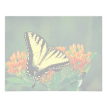Machaon de tigre sur l'mauvaise herbe de papillon faire-parts