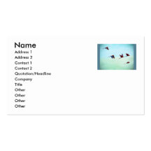 Mackaws Flying Business Card Templates