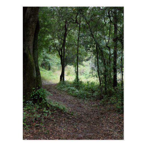 Maclay Gardens Postcards