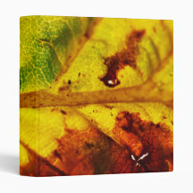 Macro Autumn Leaf Vinyl Binder