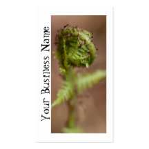 Macro de Fiddlehead ; Promotionnel Cartes De Visite Professionnelles