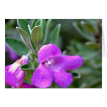 Macro False Foxglove Flower Card