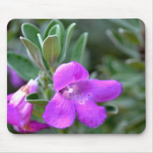 Macro False Foxglove Flower Mousepads