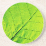Macro Green Leaf Coaster