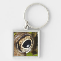 Macro; Horizontal; Colour; Colour; Nobody Keychains