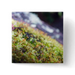 Macro Moss Buttons