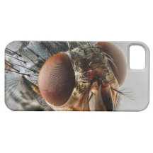 Macro photo of a fly iPhone 5 cover