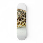 Macro Photo Of A Seashell 4 Skate Boards
