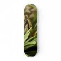 Macro Photo Of Cone On Advent Wreath Skateboard Deck