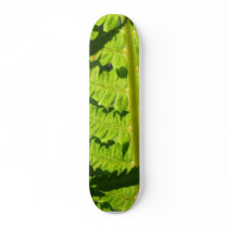 Macro Photo Of Fern 3 Skate Boards