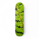 Macro Photo Of Fern 4 skateboards