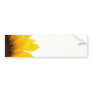 Macro Photo Of Sunflower On White Background Bumper Sticker